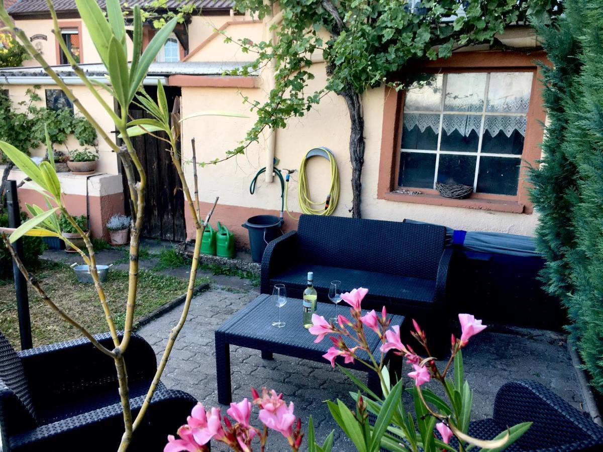Ferienwohnung Suedpfalzblick Burrweiler Εξωτερικό φωτογραφία
